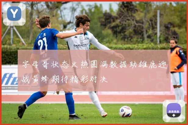 字母哥状态火热圆满数据助雄鹿迎战黄蜂期待精彩对决